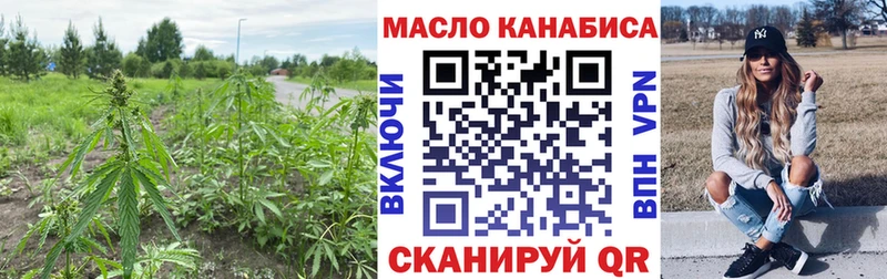 Дистиллят ТГК Wax  OMG ONION  Кизел 