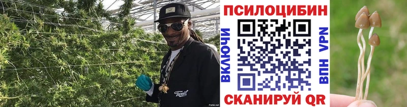 где продают наркотики  Кизел  Псилоцибиновые грибы MAGIC MUSHROOMS 